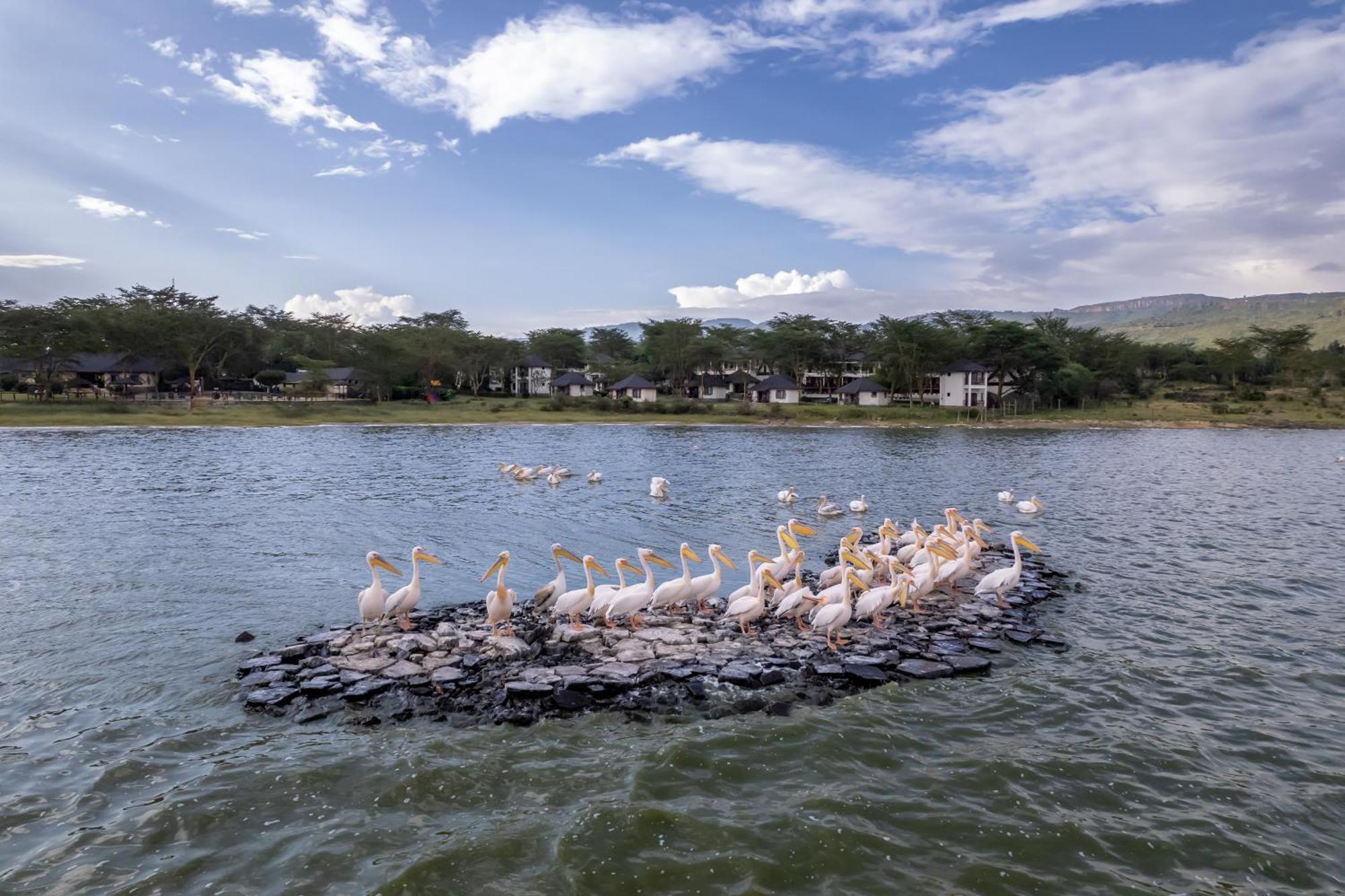 Sentrim Elementaita Lodge Elmenteita Ngoại thất bức ảnh